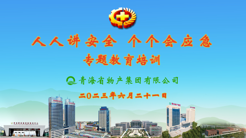 提高安全管理水平 落實全員安全責(zé)任&mdash;&mdash;集團(tuán)安委會舉辦2023年&ldquo;人人講安全，個個會應(yīng)急&rdquo;專題教育培訓(xùn)
