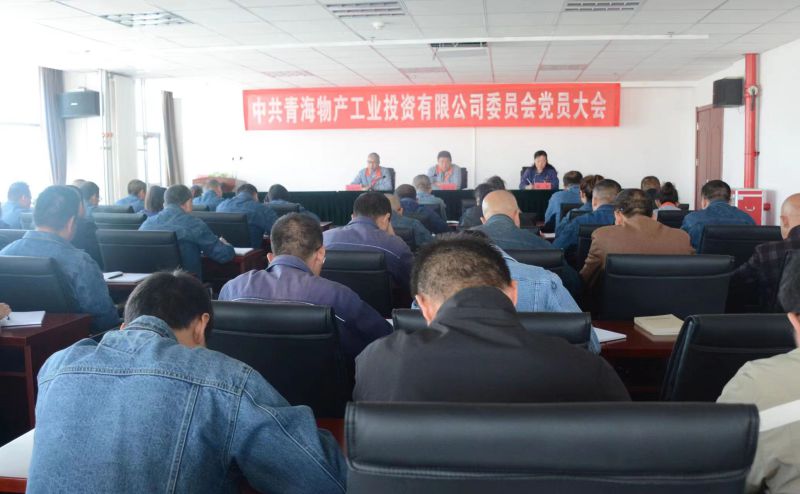 實干擔(dān)當(dāng)拼搏趕超 為奪取新時代物產(chǎn)工投綠色低碳高質(zhì)量發(fā)展新勝利不懈奮斗 &mdash;&mdash;物產(chǎn)工投公司黨委召開換屆選舉大會