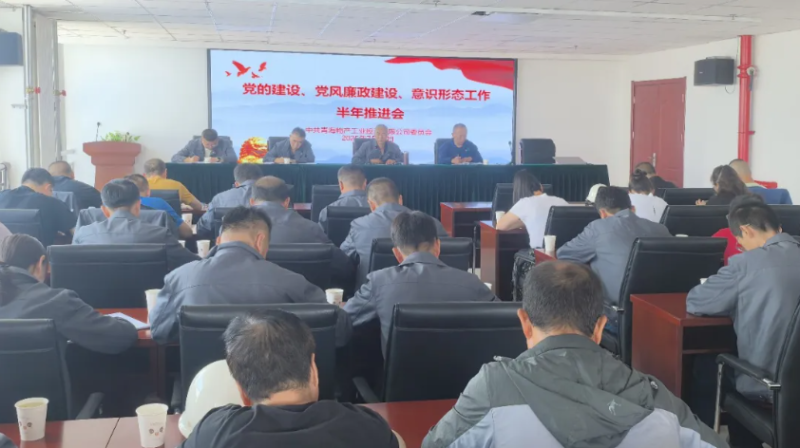 工投公司黨委召開黨的建設(shè)、黨風(fēng)廉政建設(shè)、意識形態(tài)工作半年推進(jìn)會